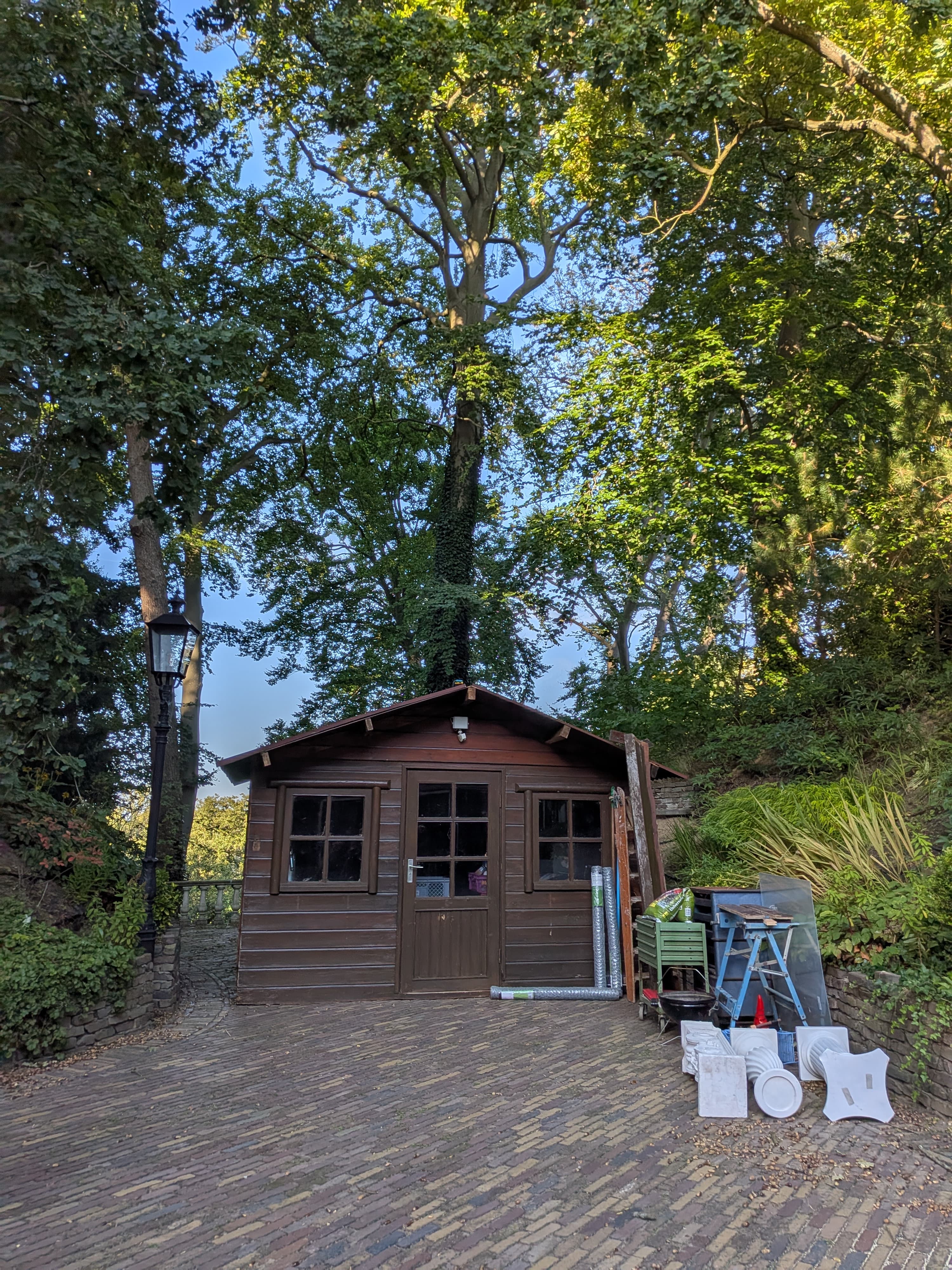 Shed process image 2