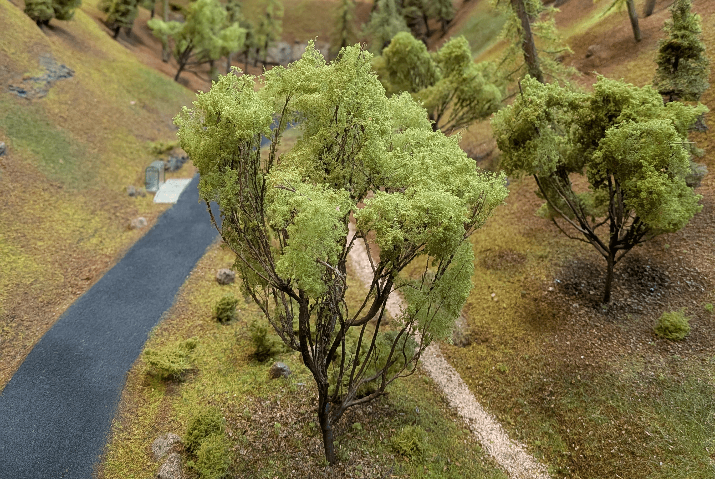 Leon can Feel image 1